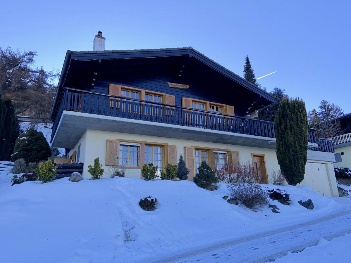 Chalet Belle Poncke Nendaz Eksteriør bilde