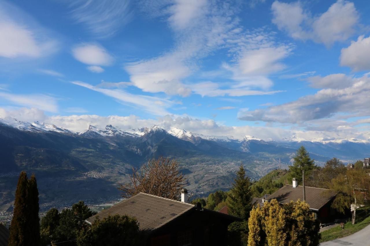 Chalet Belle Poncke Nendaz Eksteriør bilde